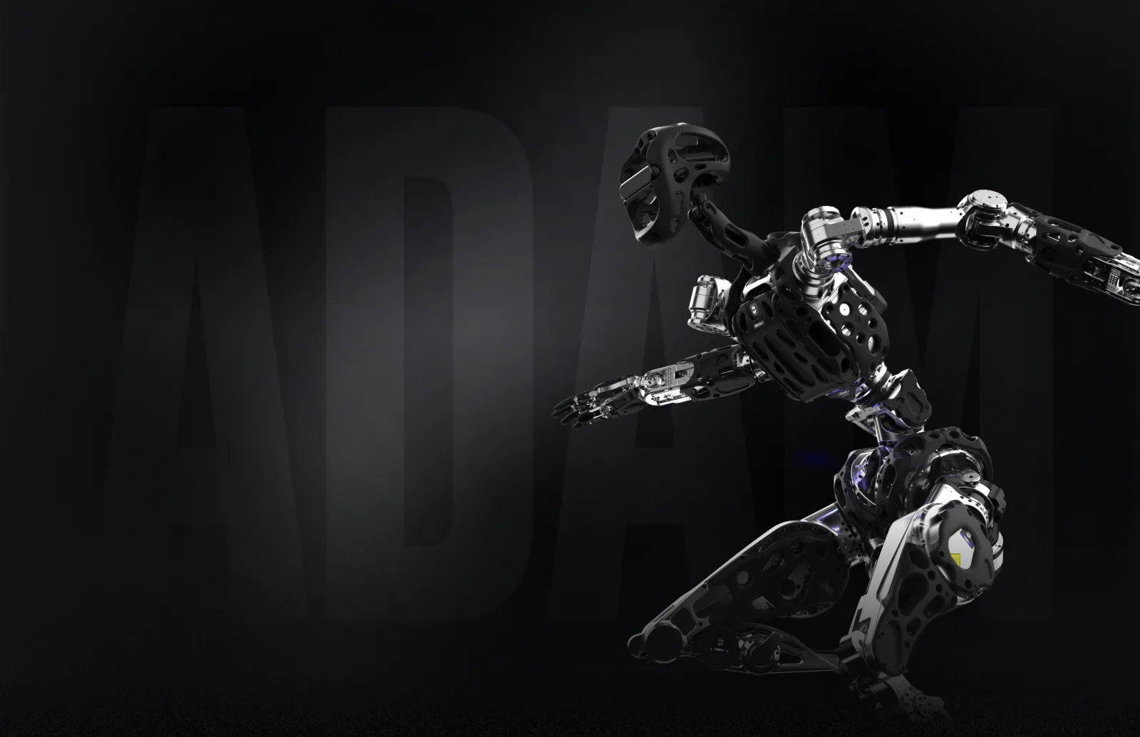 Adam by PNDbotics