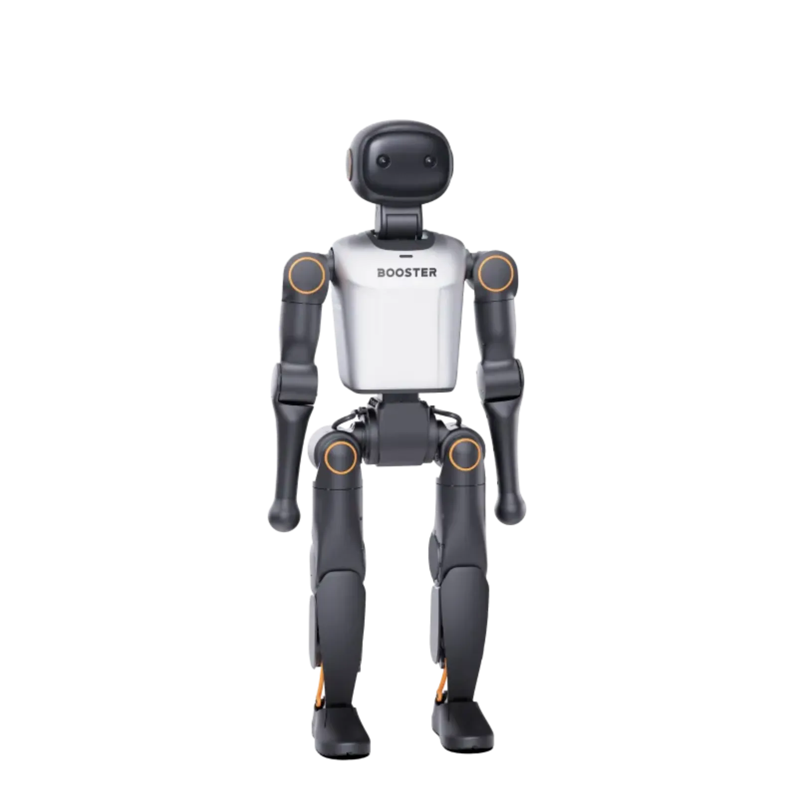 Booster K1 by Booster Robotics