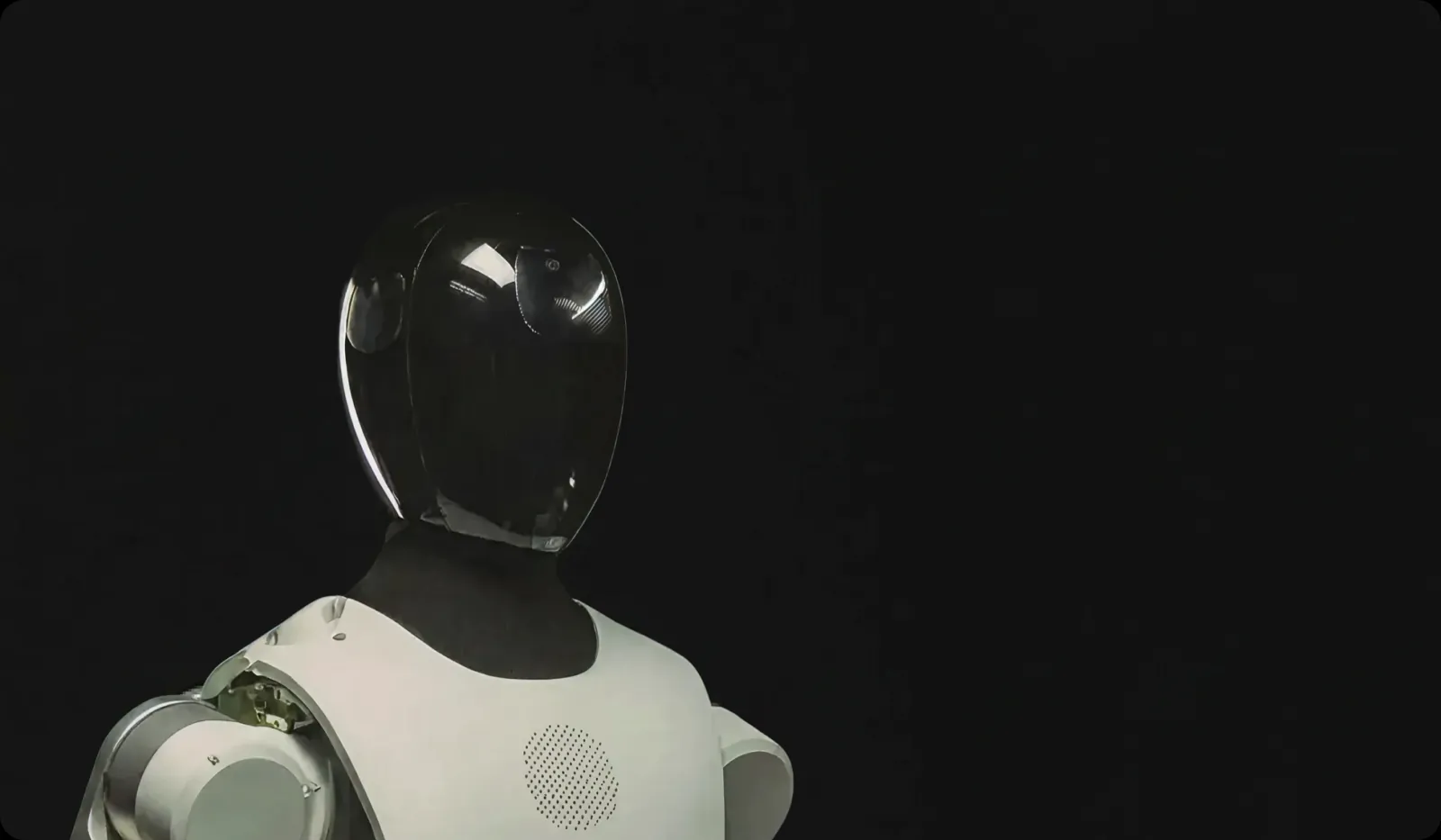 HMND 01 Alpha Bipedal by Humanoid (SKL Robotics)