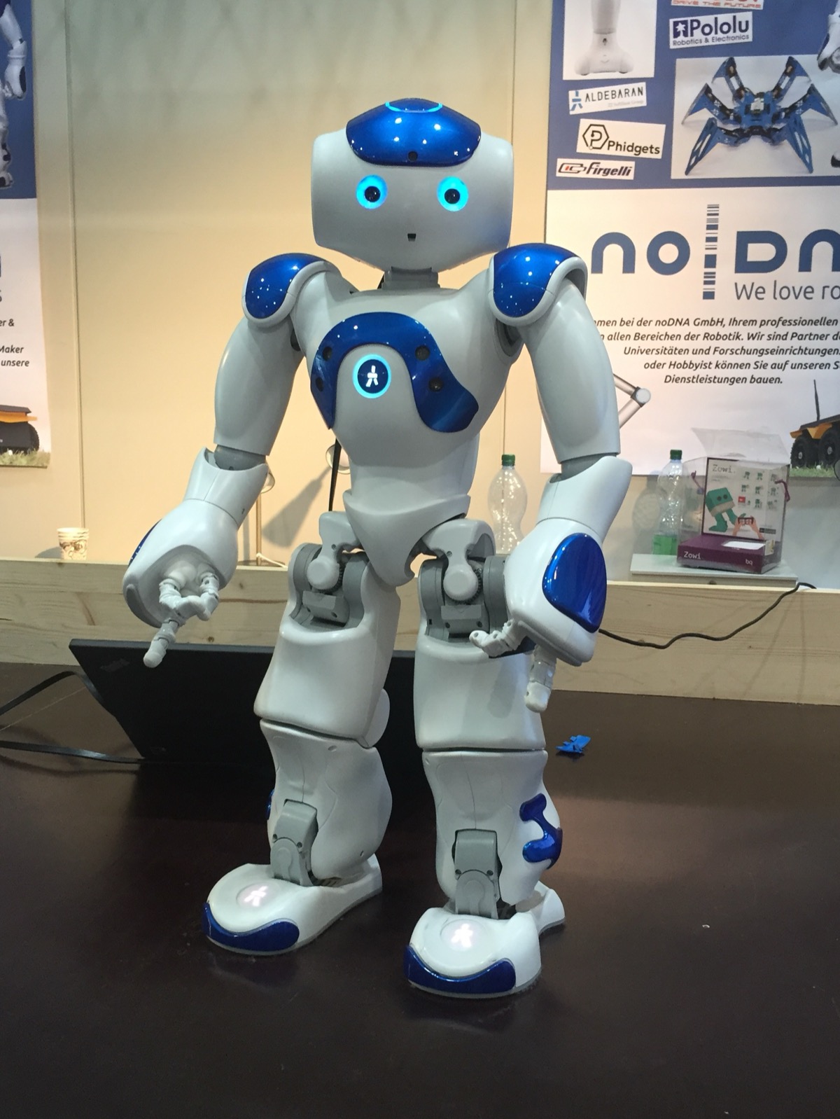 NAO v6