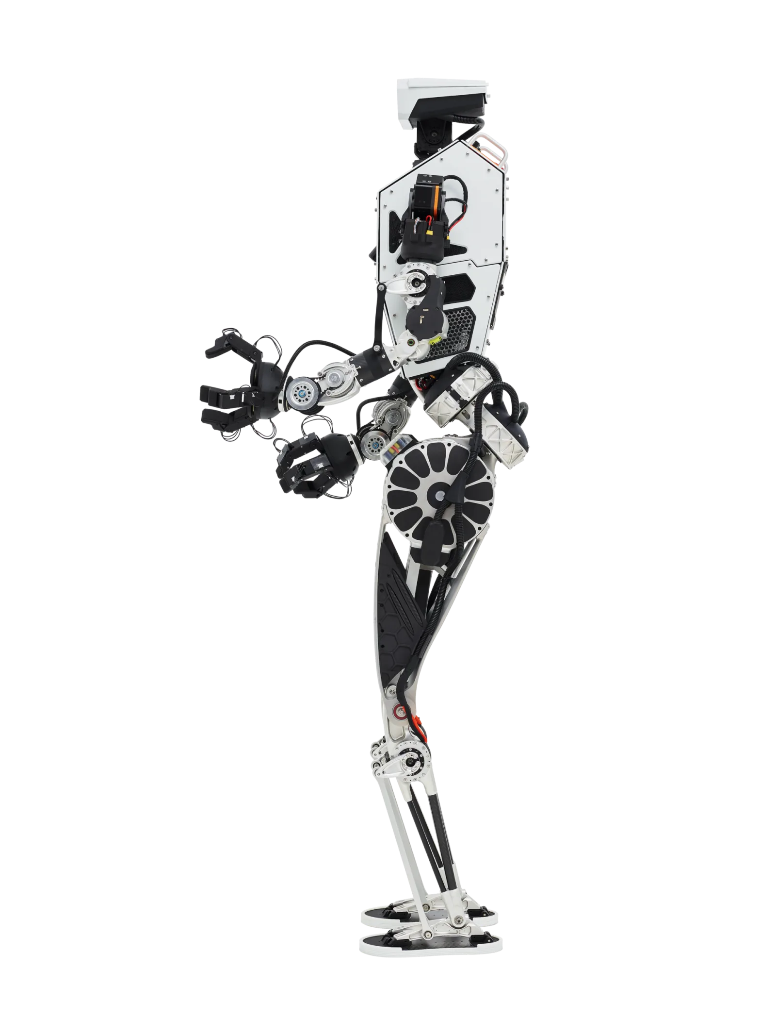Themis V2 by Westwood Robotics